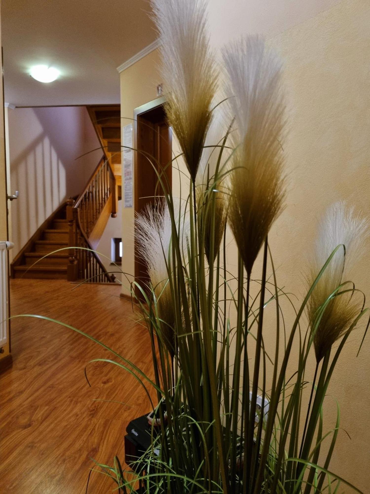 B&B Penzion Magura Бардіїв Екстер'єр фото